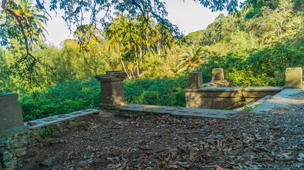 Obraz premium garden in the garden