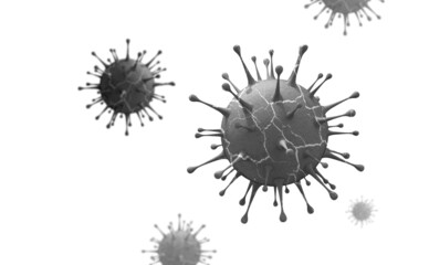 covid virus