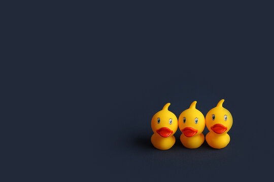 Small rubber ducklings yellow on a blue background. The concept of a children's toy store. High-quality photography