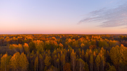 Aerial view of the sunset over the autumn forest. The tops of the trees are illuminated by the sun