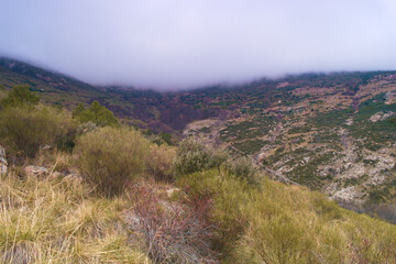 krajobraz góry natura drzewa widok skały © Piotr