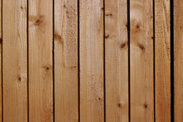 Fototapeta premium wood texture background