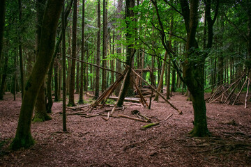 structure build in lush Irish Forest