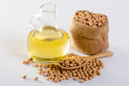 Soy Bean Oil