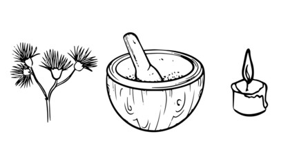 Forest witch illustration vector set