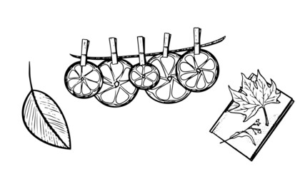 Witch autumn illustration vector icon set