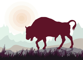 isolated silhouette of a bison against the landscape. sun. esp.10