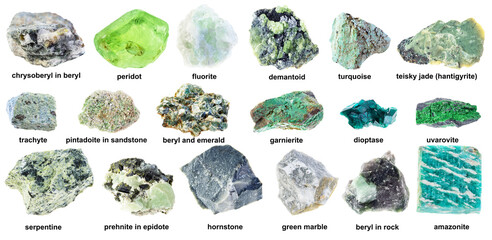 set of various raw green rocks with names cutout