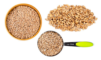 set of Spelt grains cutout on white