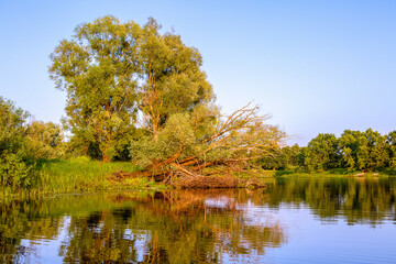 Pripyat River in Belarus