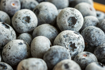 frozen ripe blueberries closeup background