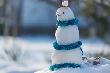 Rucksack Snowman © Galyna Andrushko