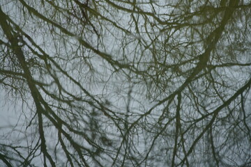 Nature kind of Background nearby a river during winter season 