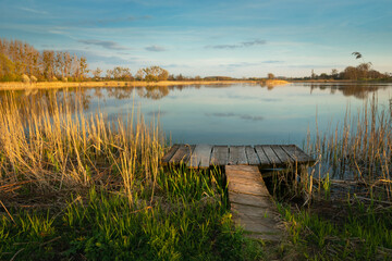 Wooden fishing platform in the reeds of the lake, Stankow, Poland
