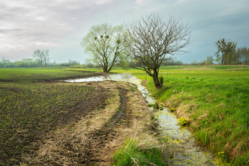 Fototapeta na wymiar Sowed field and a ditch with water after rainfall, Zarzecze, Poland