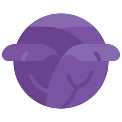 red cabbage flat icon