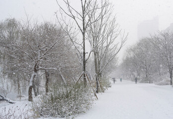 Street scene covered in white snow