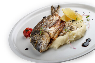 Dorado with mashed potatoes and creamy mushroom sauce. Isolated on a white background.