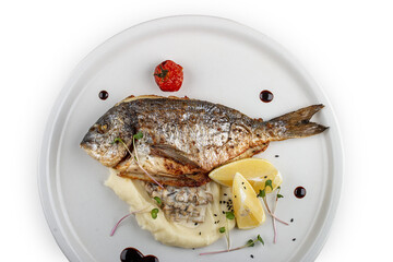 Dorado with mashed potatoes and creamy mushroom sauce. Isolated on a white background.