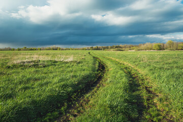 Road through a green meadow and cloudy sky