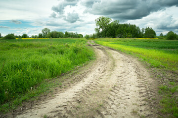 Fototapeta na wymiar Dirt road in green fields and cloudy sky