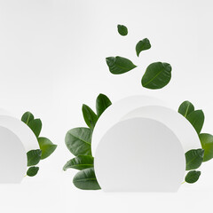 Fashion summer abstract stage mockup with circles as podium and  flying tropical green leaves, scene for presentation cosmetic product, design, advertising in fresh geometric minimal style, square.