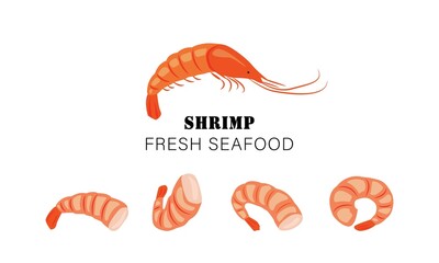 Banner with text and shrimps. Shell-on shrimp and a row of peeled shrimps. Vector illustration for the menu of fish restaurants, for packaging in markets and shops.