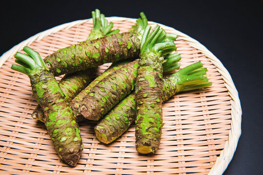 Fresh raw wasabi root, Japanese horseradish, Hon-Wasabi