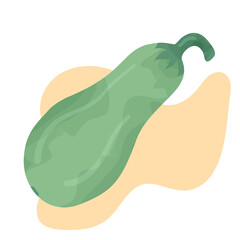 Fresh vegetables zucchini isolated on background