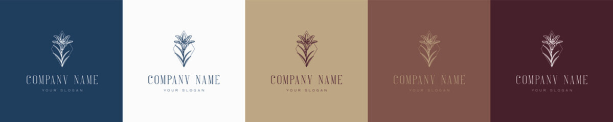 floral vector vintage nature feminine logo template graphic