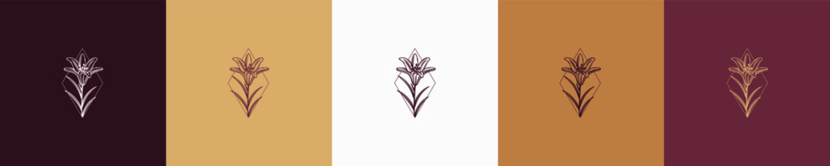 floral vector vintage nature feminine element shape for logo template graphic