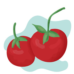 Fresh vegetables tomatoes isolated on background. Vector