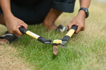 Cropped image of gardener's hand using lawn scissors on the grass field.