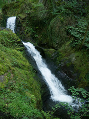 Fototapeta na wymiar Lower Dolgoch Falls,Aberdovey,Gwynedd, Wales