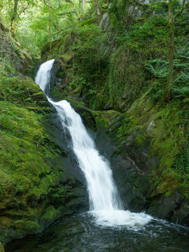 Lower Dolgoch Falls,Aberdovey,Gwynedd, Wales