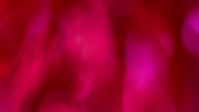 Abstract Viva Magenta shimmering background. Festive New Year decor, magic background for visual effects.