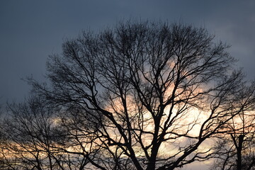 Abenddämmerung