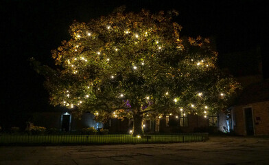 Tree with shiny lights in front of a building in the night