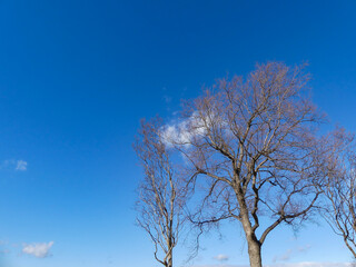 冬の琵琶湖畔の公園で