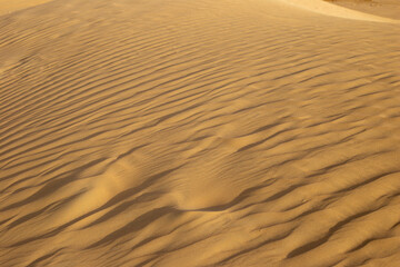 Sand dunes. Orange desert sand