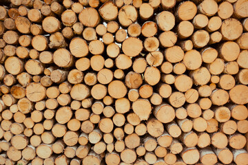 Stack of tree trunks. Texture background