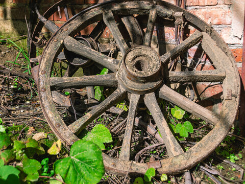 An old wooden cart wheel is lying on the ground. A wooden cart wheel under the sun near a barn in the village