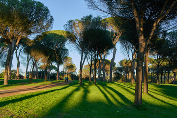 Villa Doria Pamphili city park in Rome, Italy