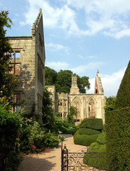 KONICA MINOLTA DIGITAL CAMERA