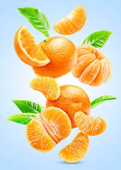 Ripe tangerines with slices and leaves levitate isolated on a blue background.