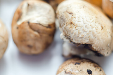 Raw and fresh mushrooms on a white background, vegetables from an organic farm