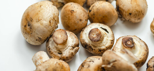 Raw and fresh mushrooms on a white background, vegetables from an organic farm
