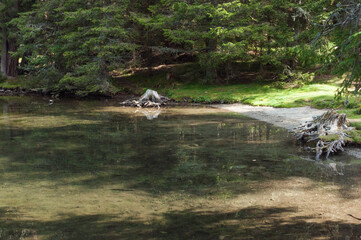 Uferbereiche eines Bergsees in Österreich mit Spiegelungen auf dem ruhigen Wasser