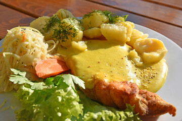 Meat with salad and potatoes