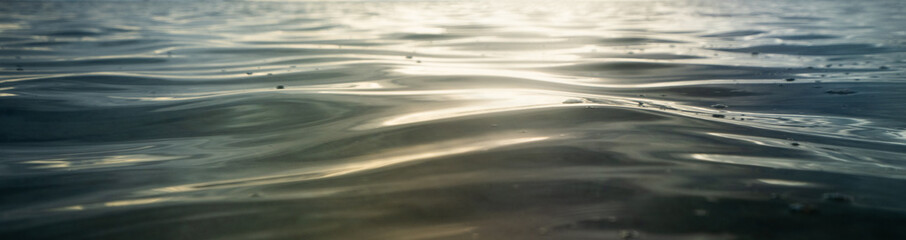 coral life fish underwater 
